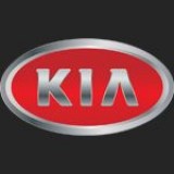 Распорки и усилители жесткости RIKKAR на Kia